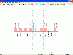 Longitudinal and Transverse Reinforcement Diagram